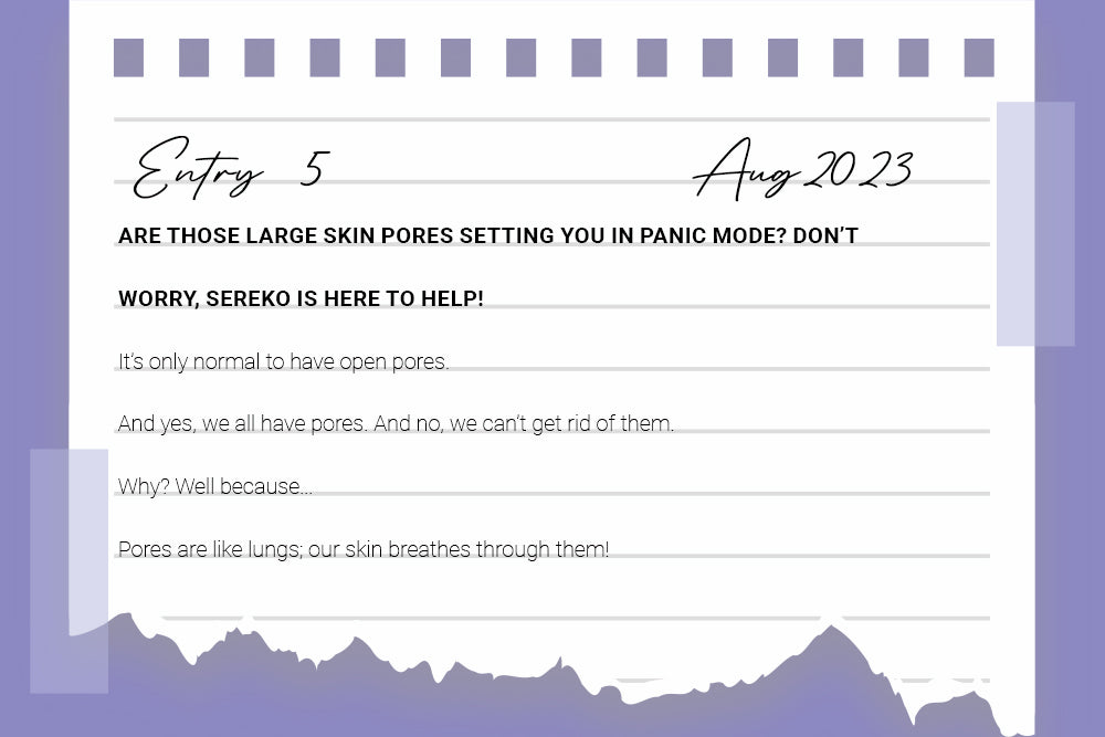 Are those large skin pores setting you in panic mode? Don’t worry, SEREKO is here to help! Are those large skin pores setting you in panic mode? Don’t worry, SEREKO is here to help!